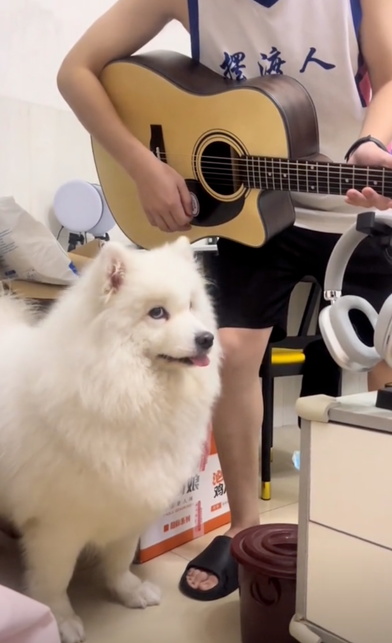 怎麼看起來那麼呆啊～