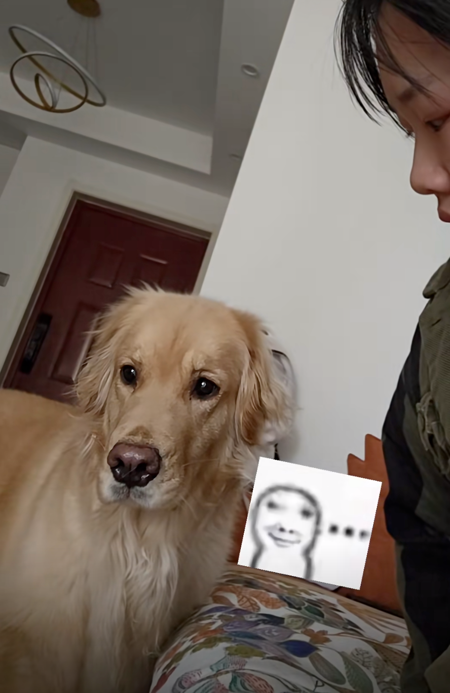 狗狗：可惡！怎麼感覺隔壁有殺氣？