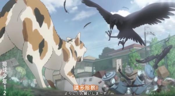 垃圾廠對決現場版？