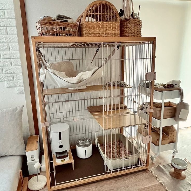 安全是挑選貓籠時的首要考量。