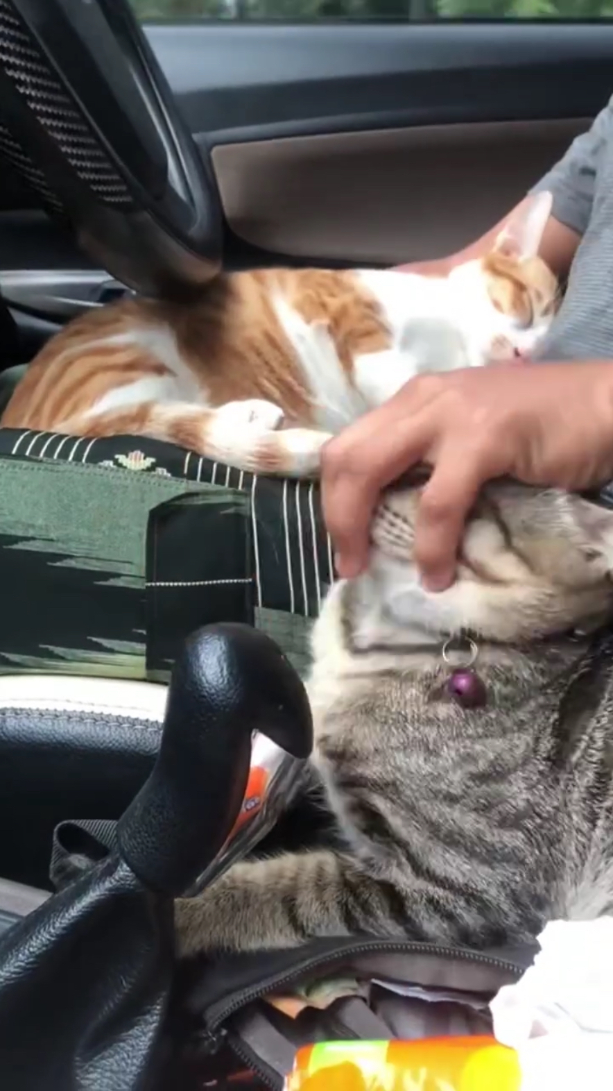 Opps!被當成排檔桿了~