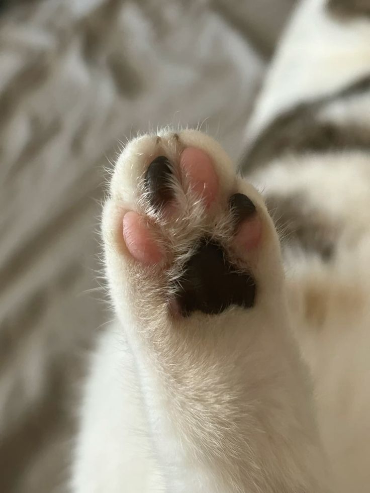 坊間的一些有趣說法。