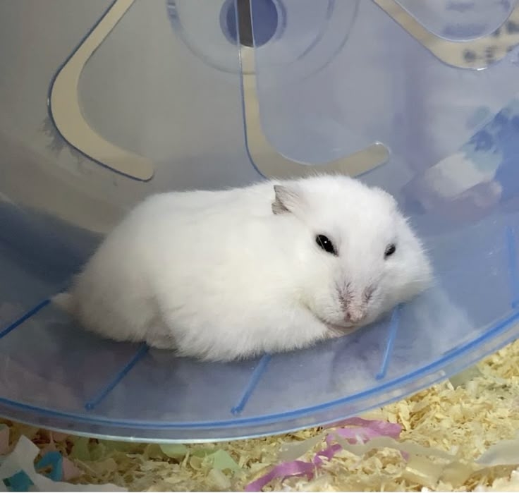 對外在環境的感知也會跟著遲鈍。