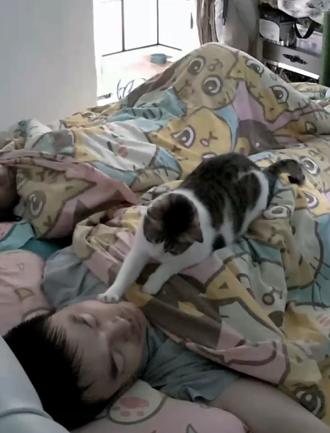 貓咪：喂～起來了啦～