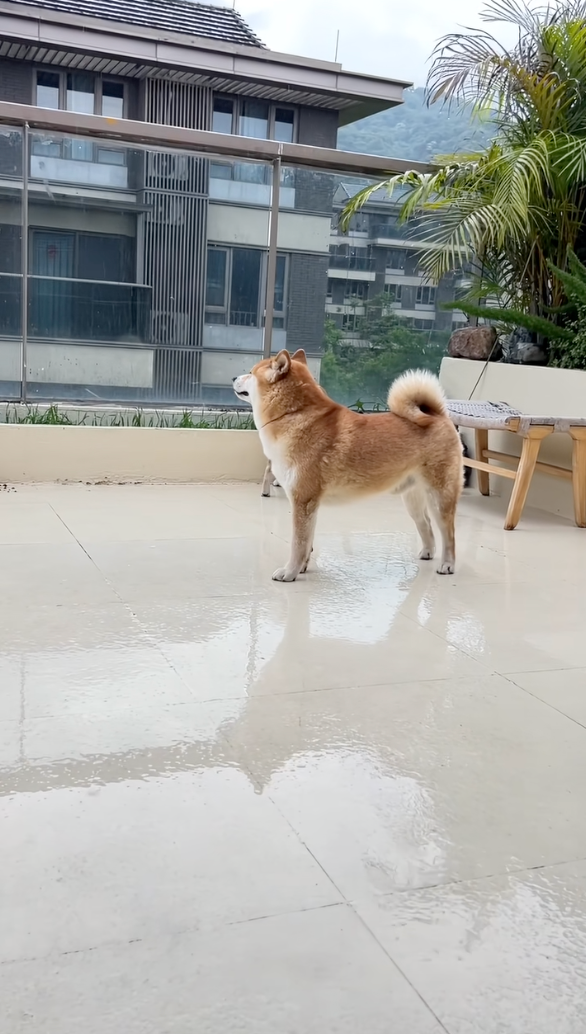 看起來很多心事。