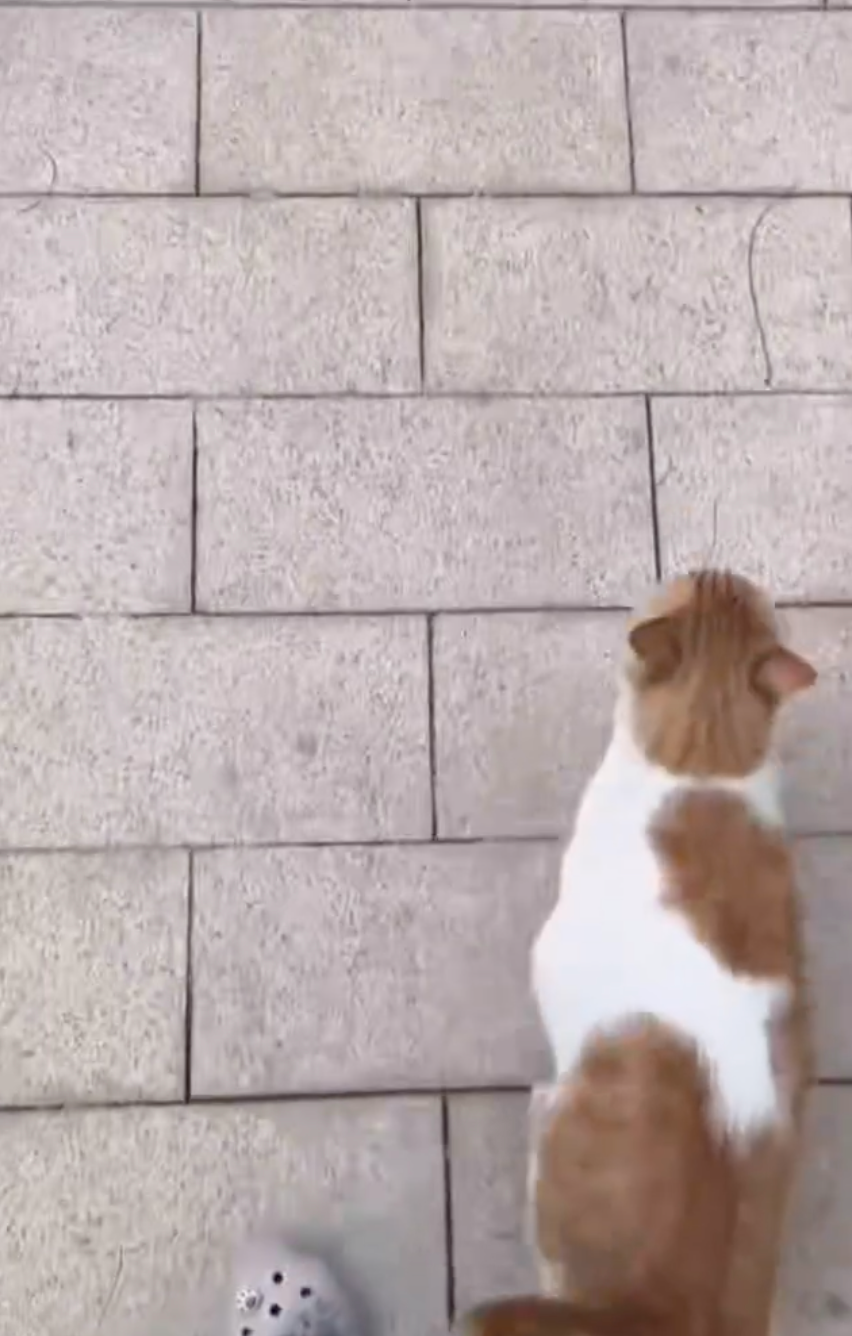 趕緊走，必須跟上腳步！