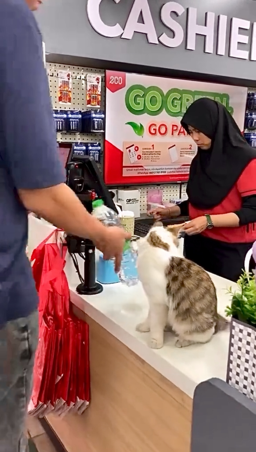 貓咪：嗯？才買一瓶水？