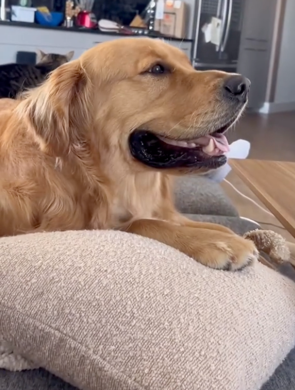 原本笑很燦爛～