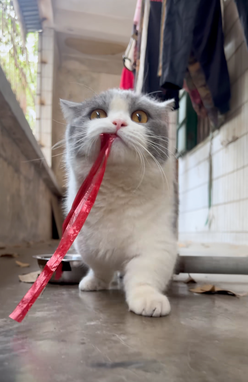 這架勢是來討飯還是討債的？