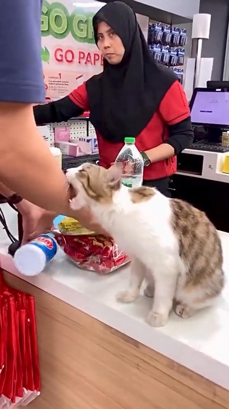 貓咪：咬你一口長長記性，下次必須買10樣以上！