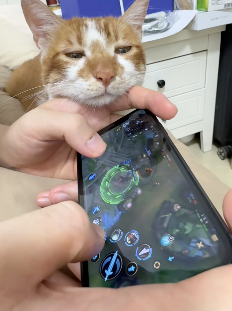 貓咪：嗯～沒事～我還撐得住～