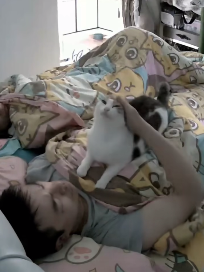 貓咪：人家不只是要摸摸～