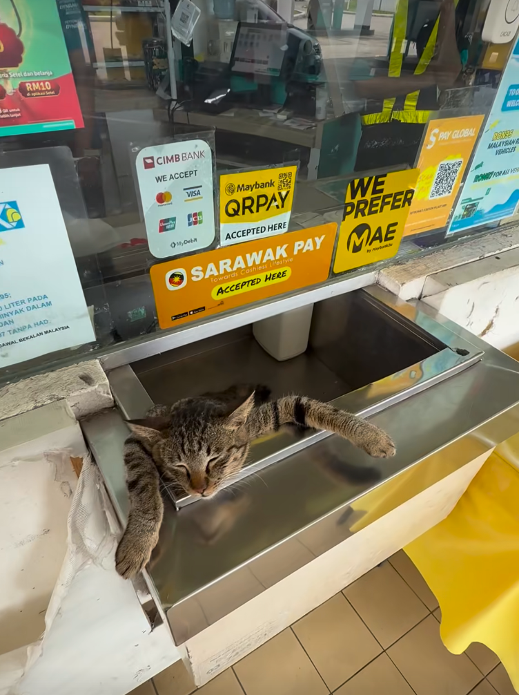 老闆，你的員工在偷懶！