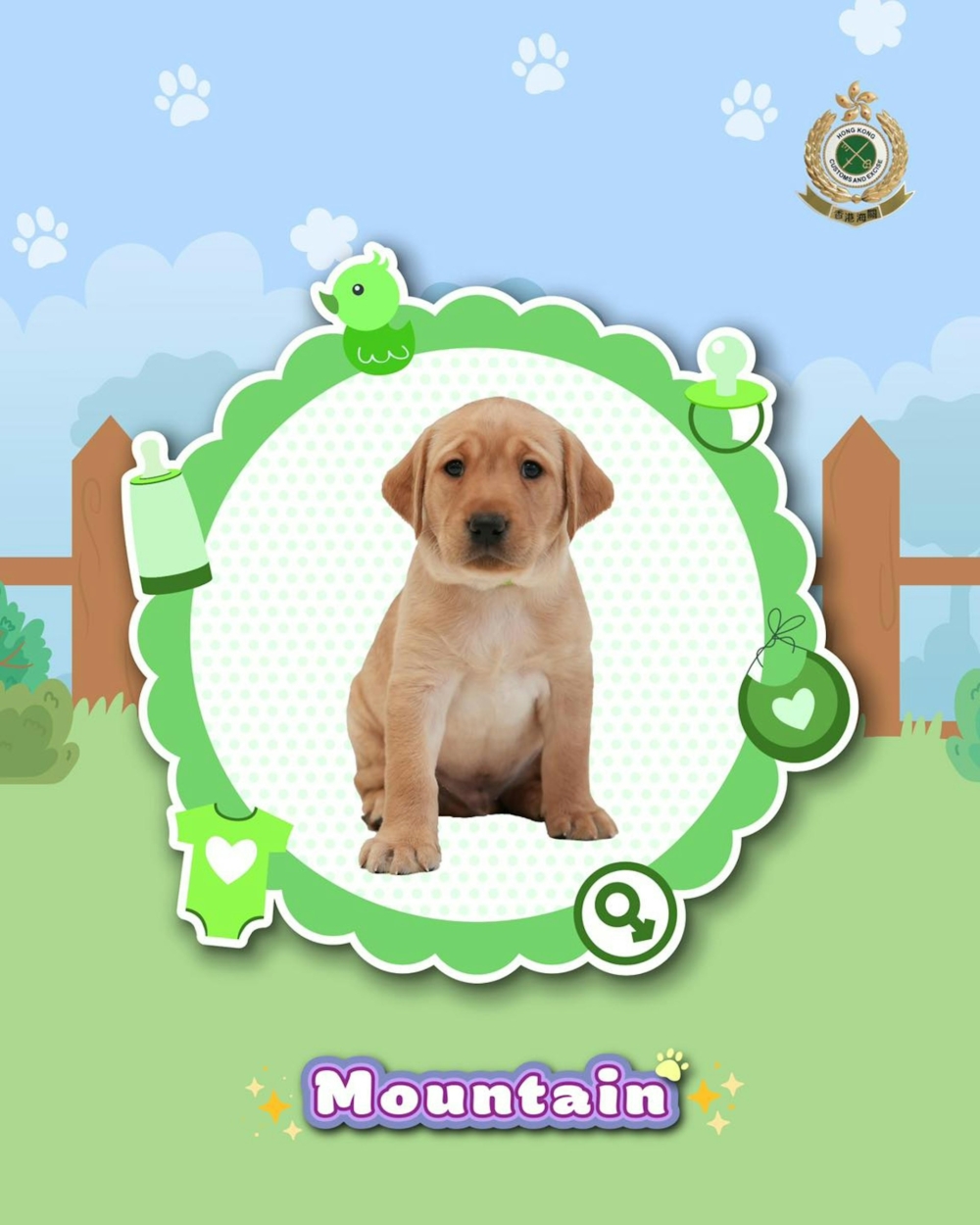 還有人驚喜地稱牠們簡直是「香港之寶」，讓大家對海關搜查犬的印象大為改觀！