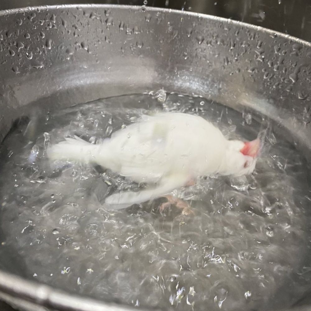 不管啦～先玩了再說～