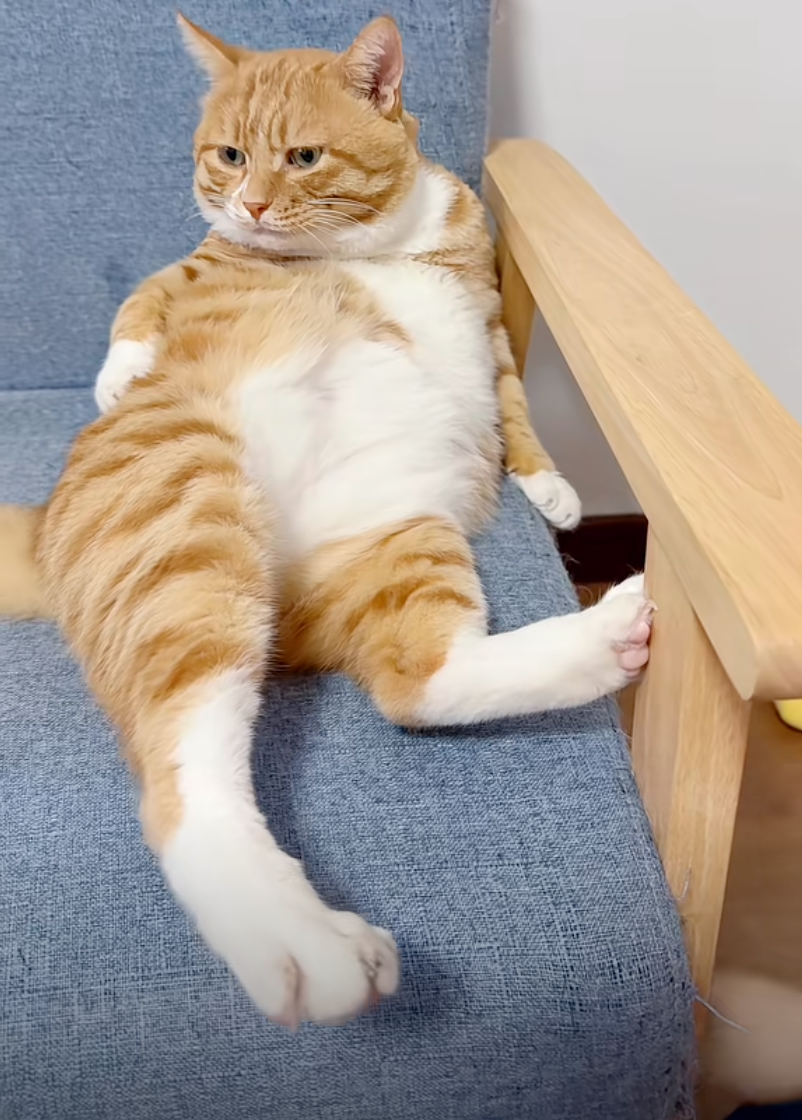 你這冷氣很舒服，明天也請繼續開～