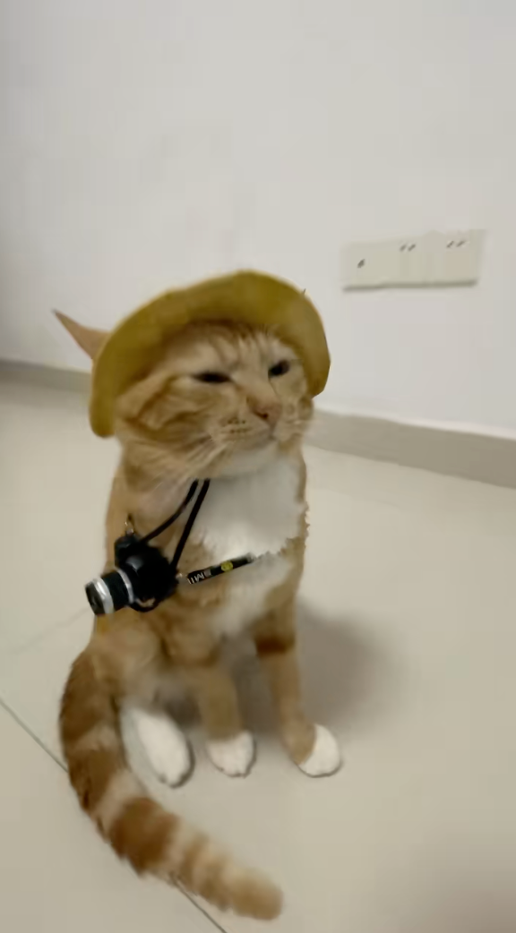 欸，不對，裡面混進去了什麼？