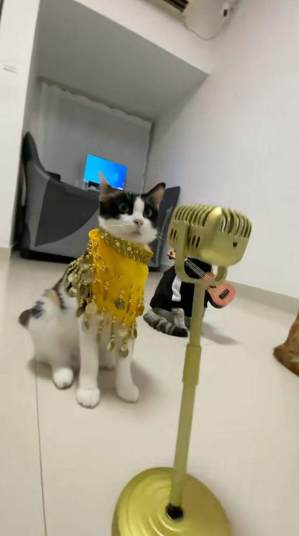 等等，這是主唱還是伴舞？