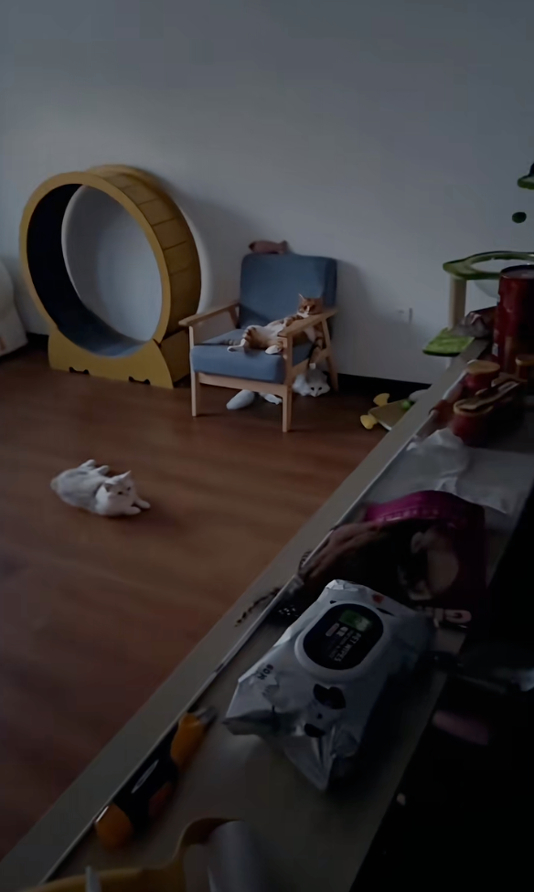 等等，黑暗中好像有什麼？