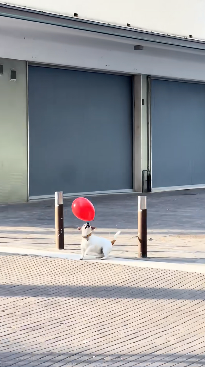 每次都能輕鬆接住！