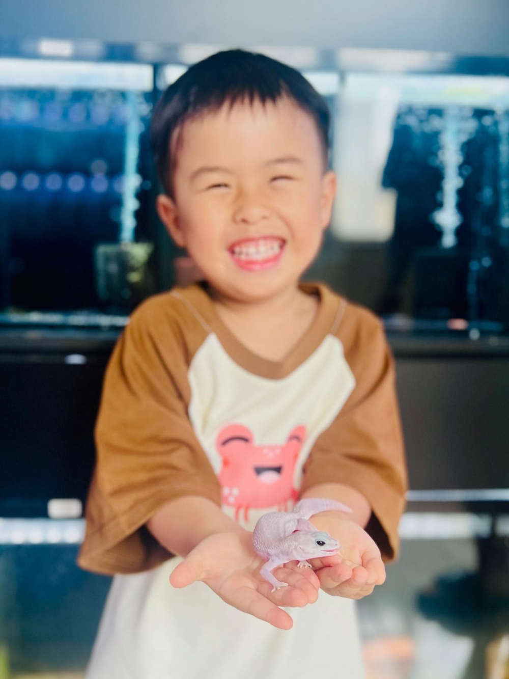 孩子們不但能學習新技能，還可獲得活動證書！