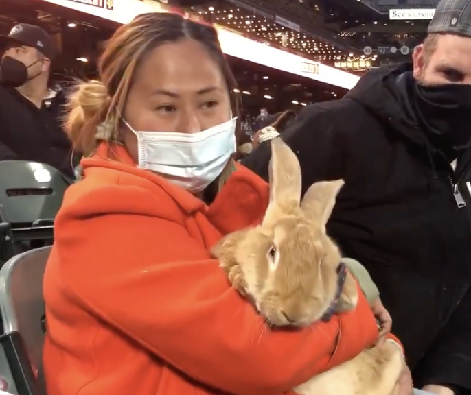 Alex的健康狀況在近期急劇惡化。牠在接受癌症治療期間，發生了併發症，並於2025年7月21日凌晨不幸離世。