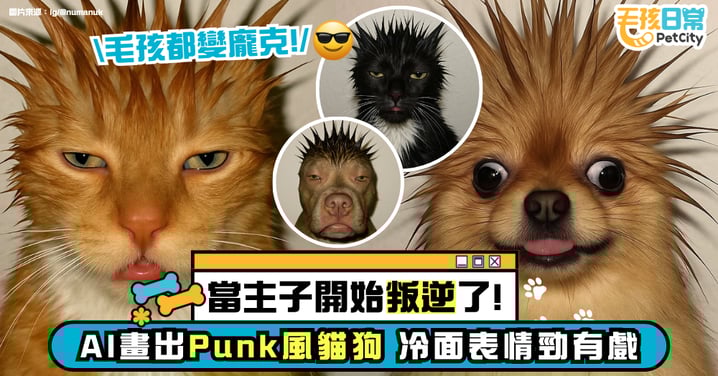 Punk風席捲毛孩界!Numan Khan用AI畫出冷酷貓狗 Poker Face+搖滾造型爆擊反差萌!