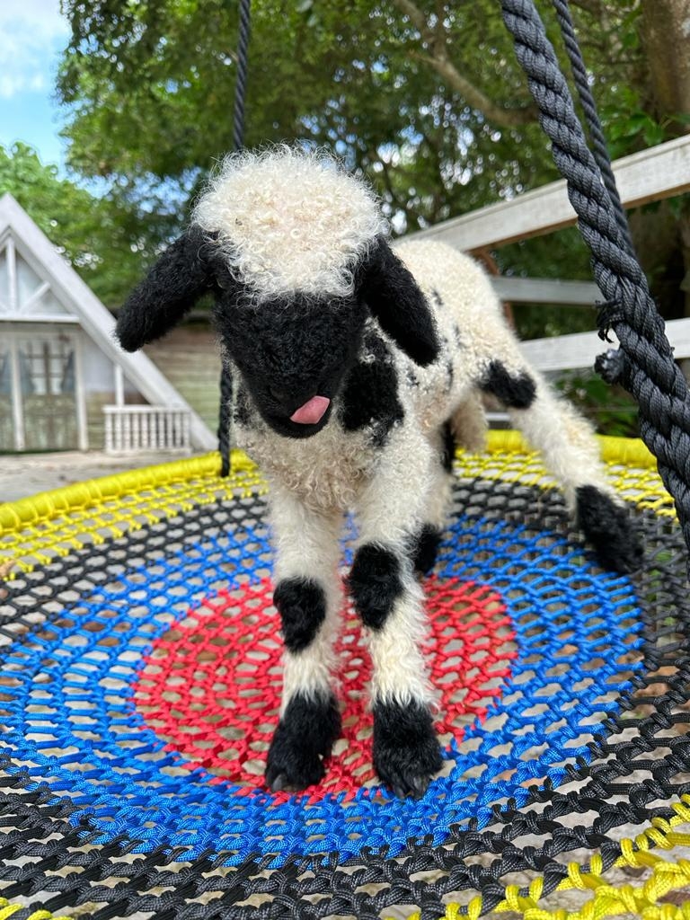 香港首見的特色品種：全港唯一引進黑鼻羊。