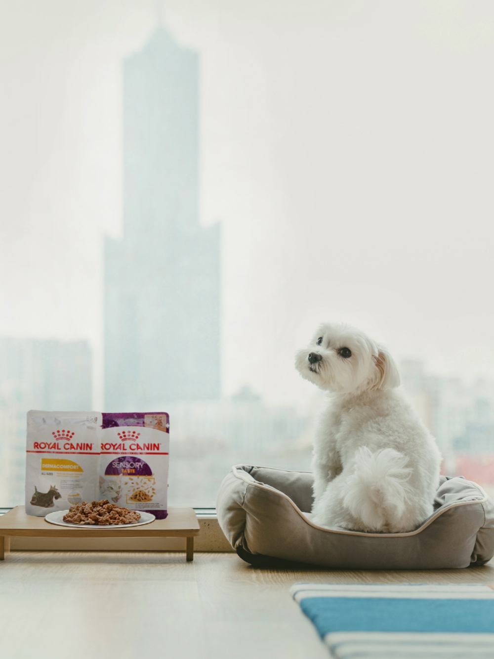 入住星級寵物友善飯店，獲主食濕糧乙包，旅途中營養補水一次到位。