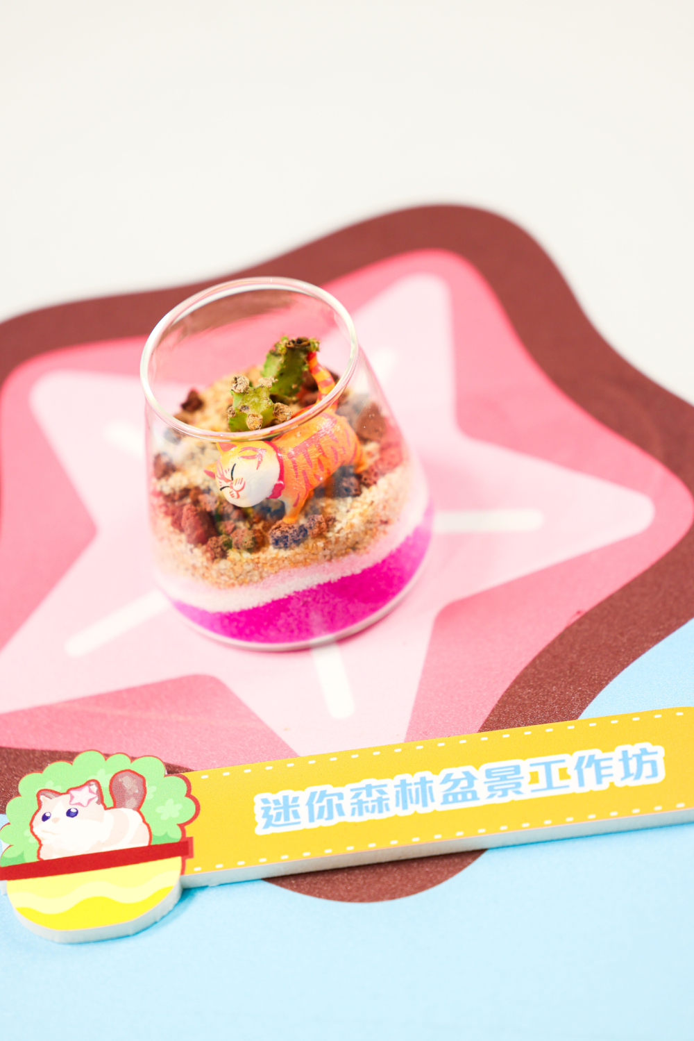 盆迷你森林盆景工作坊