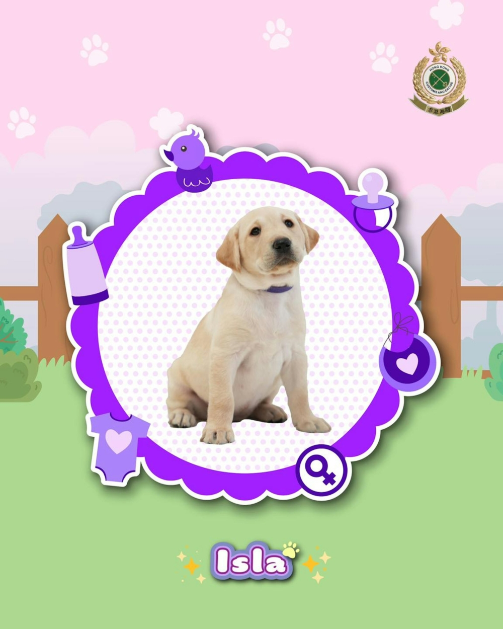 訓練過程充滿趣味～