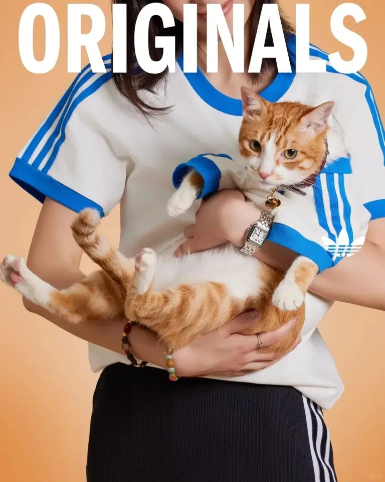 Adidas 此次全新 Adicolor 寵物系列，以品牌經典 adicolor 為核心概念，將人氣 CALI TEE 經典運動短袖縮小為寵物版。