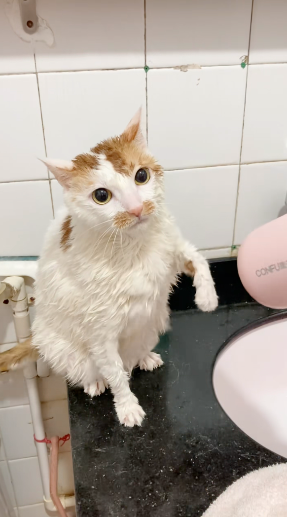 連生氣都這麼可愛～