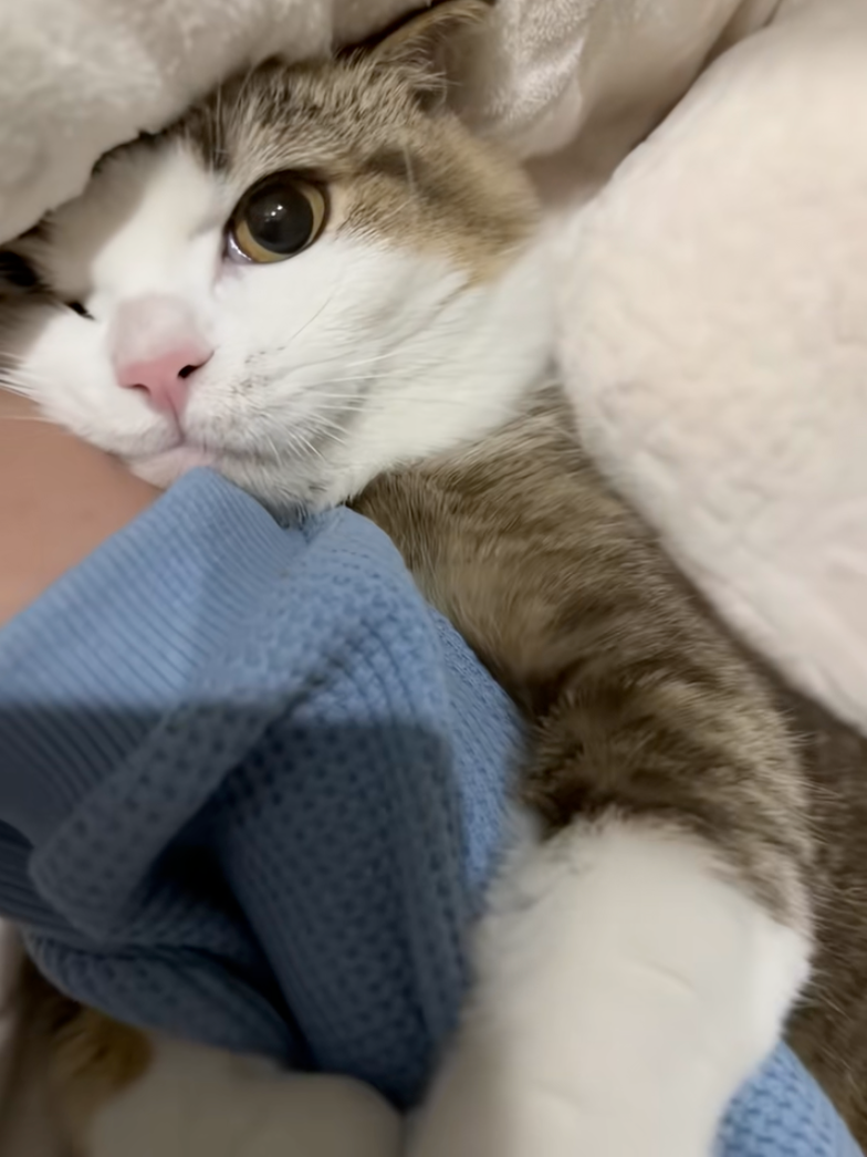 怎麼樣都甩不開～