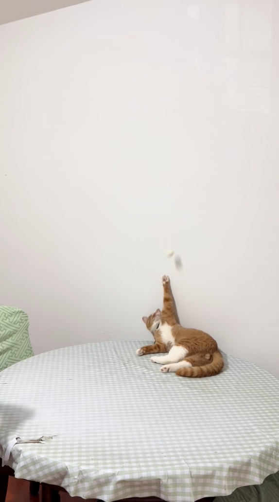 躺著吊打你啦～