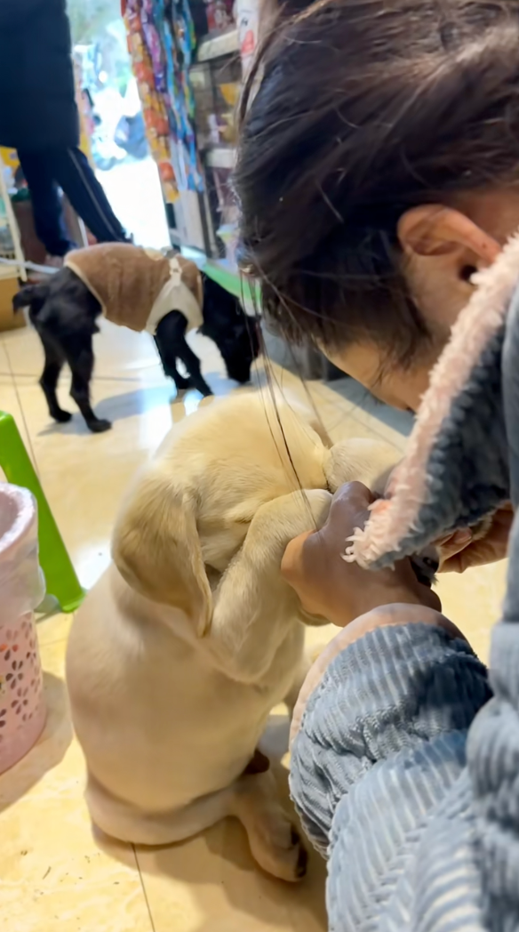 主人拉著狗狗一起祈禱。