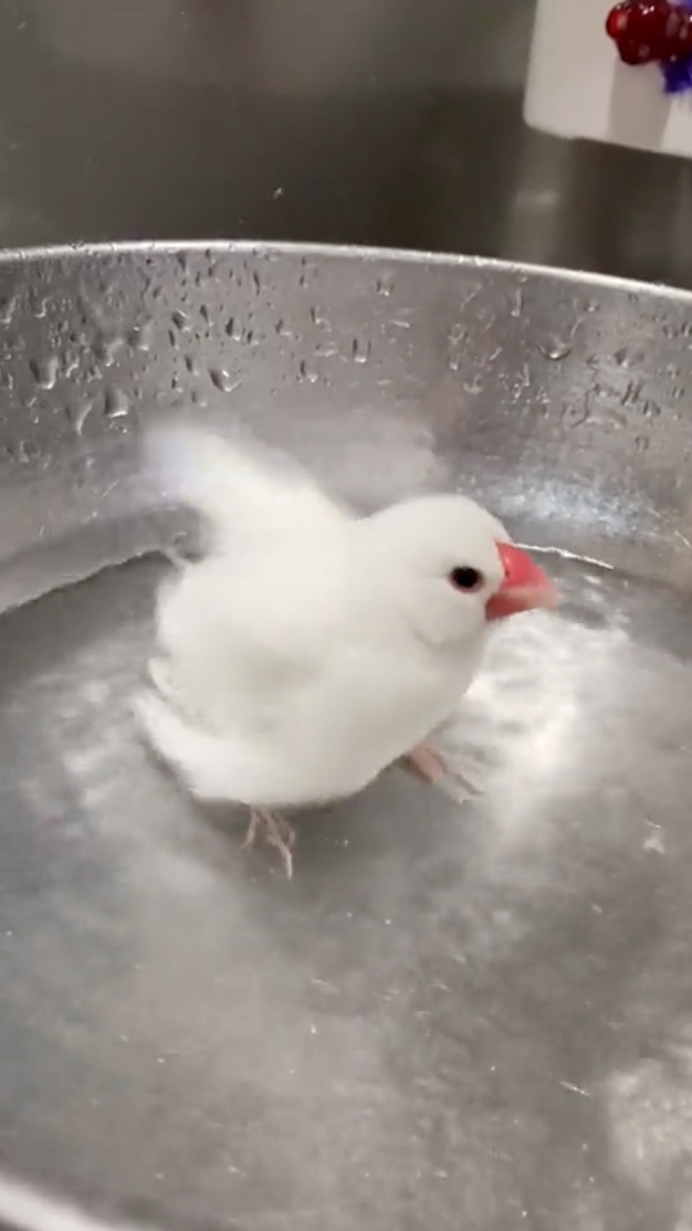 奴才：解釋清楚就好了