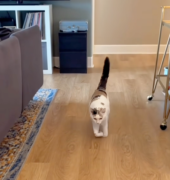 在某一天發現了新技能！