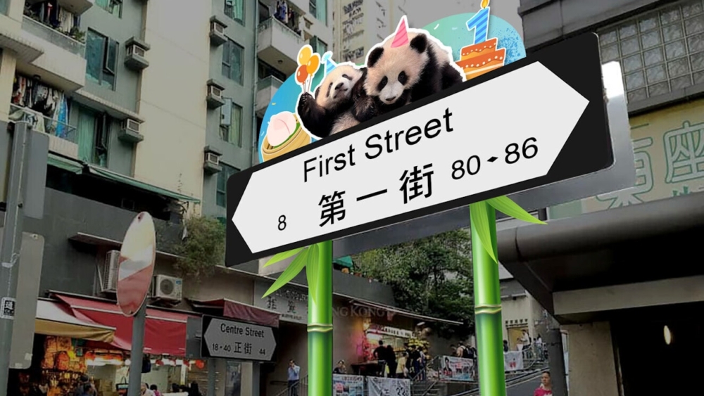 香港旅遊發展局與文體旅局合作，在全港32條街道安裝了大熊貓主題的路牌。