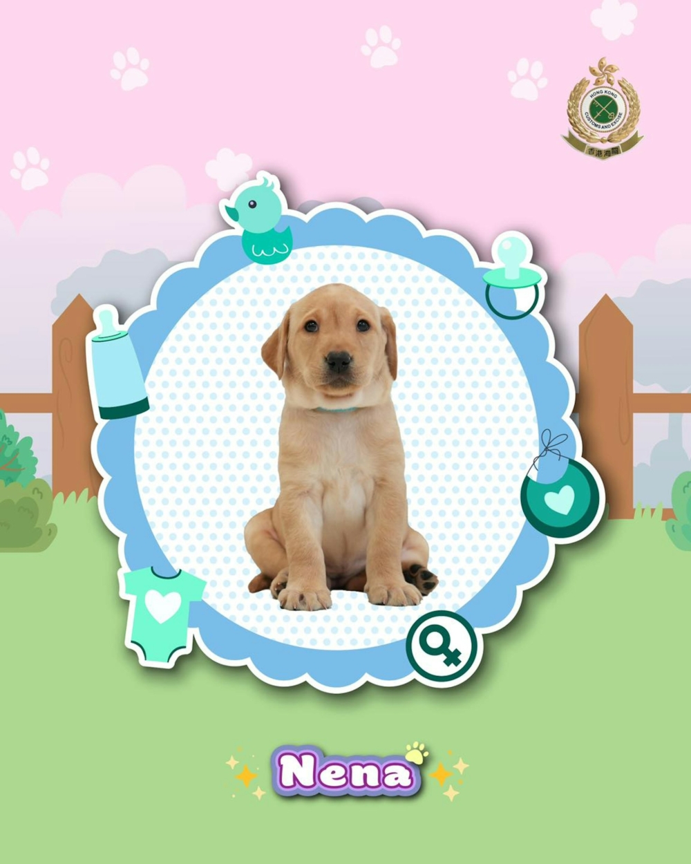 別看現在牠們只是一群愛玩愛鬧的毛小孩，未來可是肩負重任的海關「幹員」呢！