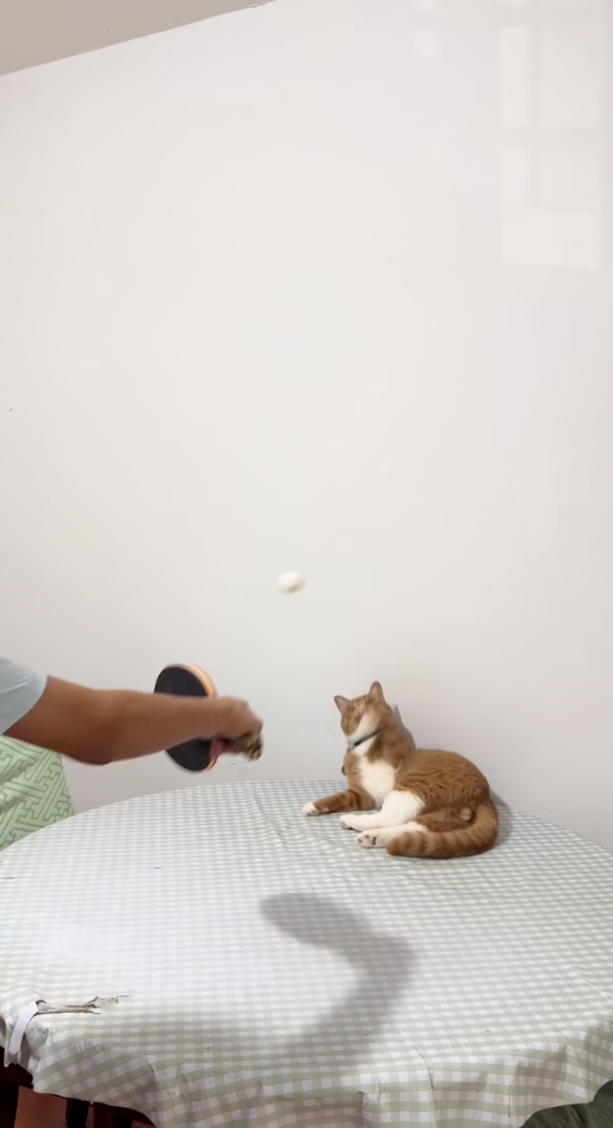 每一顆球都能接中！