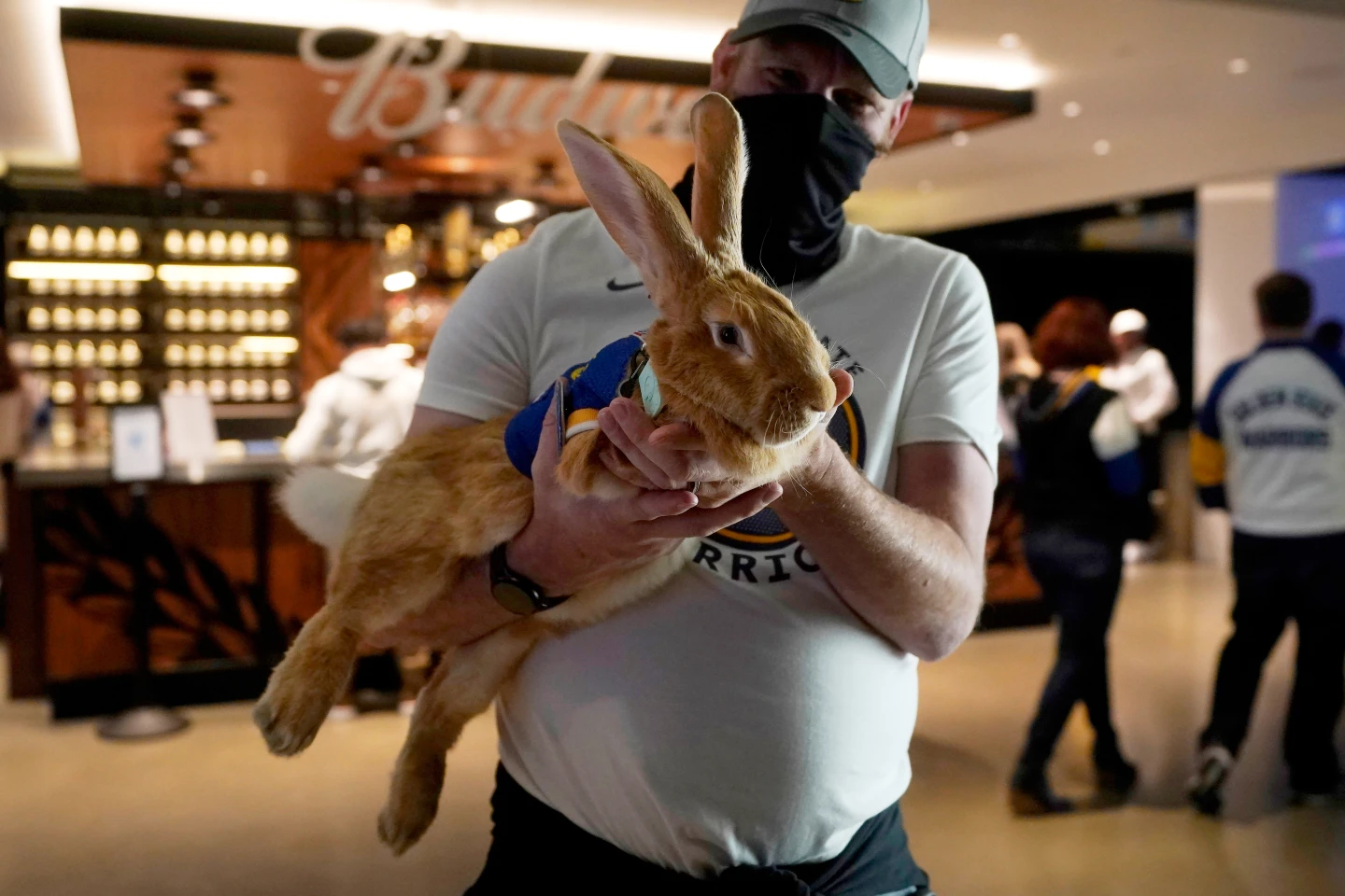 美聯社：這是一篇紀念我有幸稱之為朋友的摯愛兔子的訃告，@AThegreat100。牠將被深深懷念。