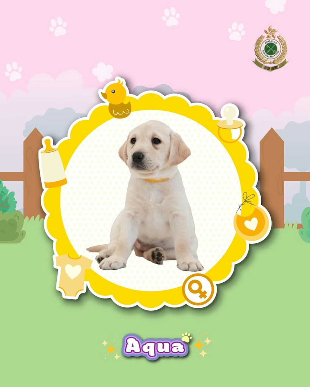 趣味命名背後的故事～