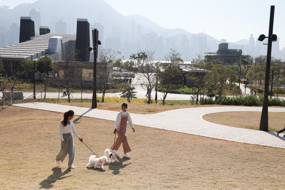 廣闊的草地加上無敵海景，適合狗狗奔跑及主人野餐放鬆。