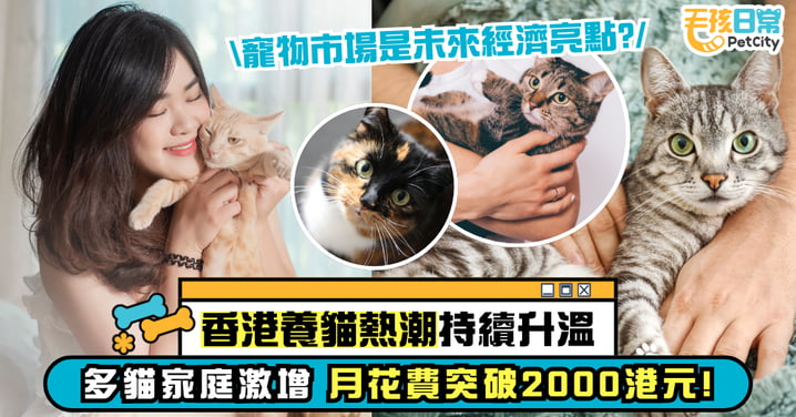 【寵物消費熱潮】香港養貓市場持續升溫 月均開支達2006港元！