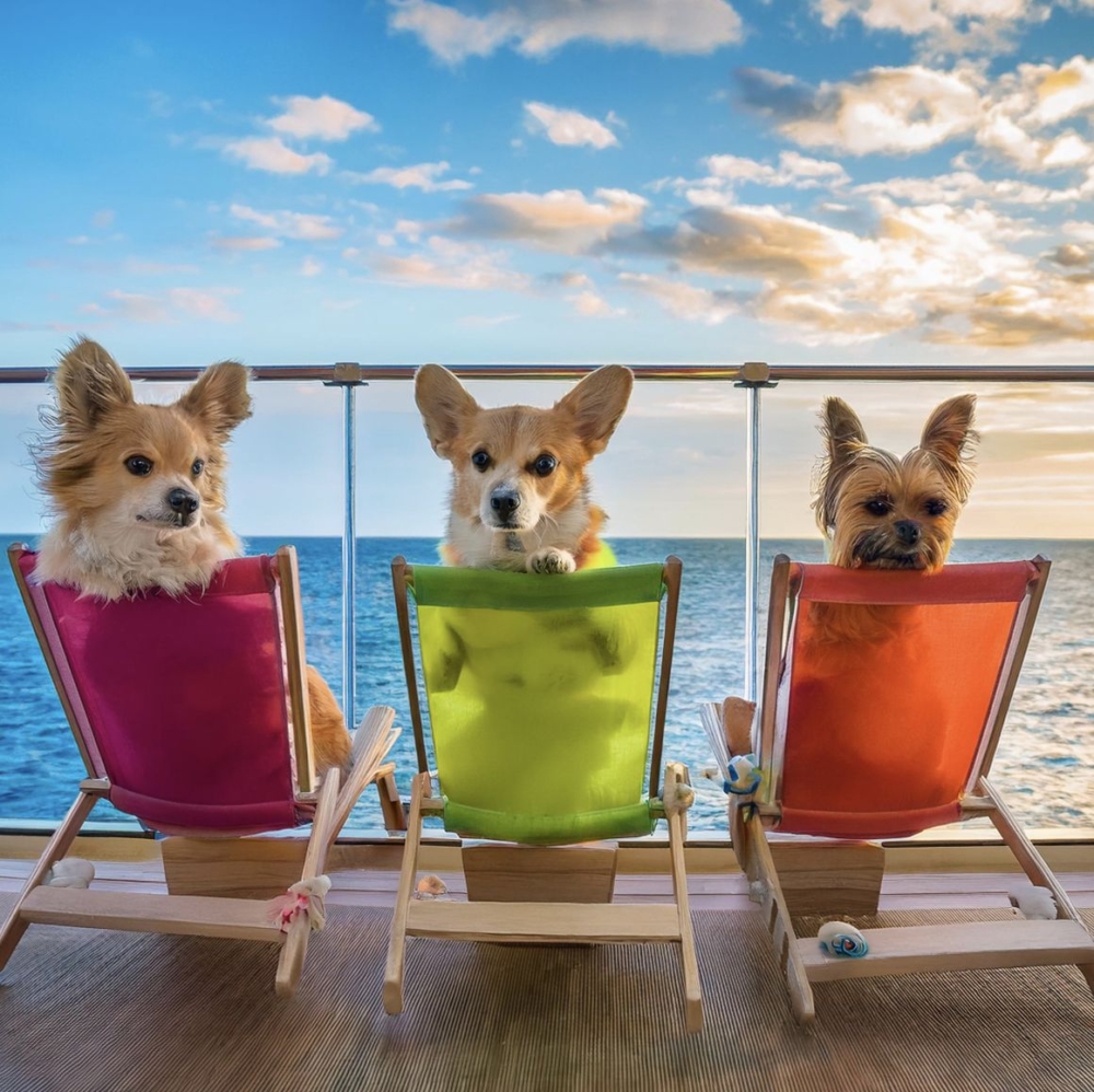 豐富活動體驗！