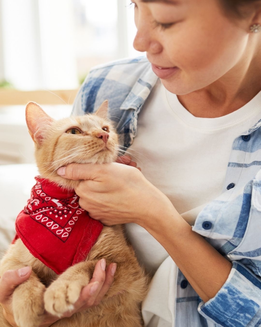 在受訪的約2000名養貓人士中，平均每名貓主人飼養2隻或以上的貓！