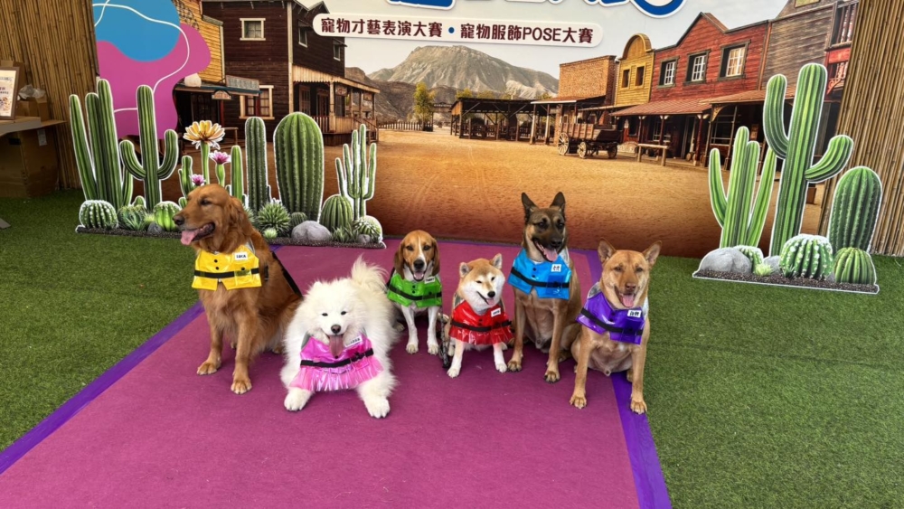 曾舉辦寵物活動。