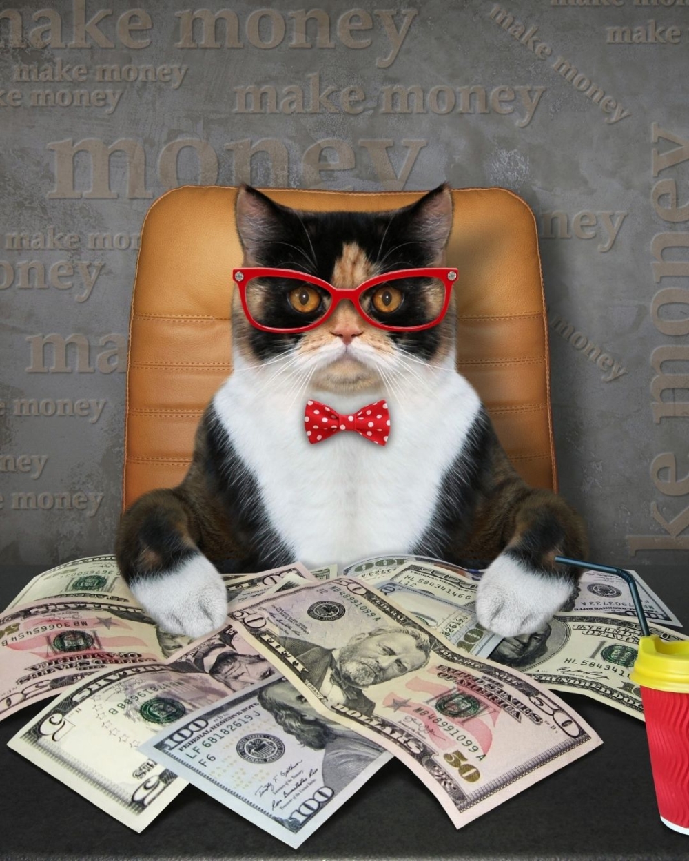 平均每名貓主每月的開支已達到2006港元，較去年增長了6.2%。