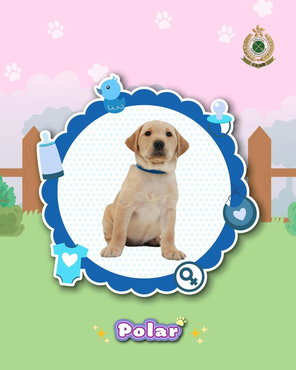 合照拍攝時，其中一隻愛搗蛋的幼犬忽然舉起小爪揮了揮，彷彿想要「抖包袱搶鏡頭」，逗得大家哄堂大笑！